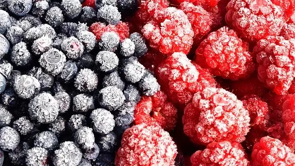 Frozen Fruits