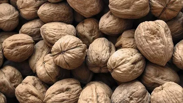 Walnuts