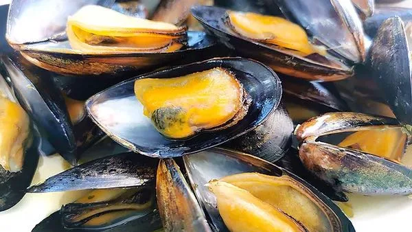 Mussels